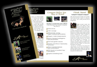Kimmelot  Brochure