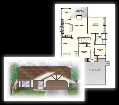 Elevation Rendering